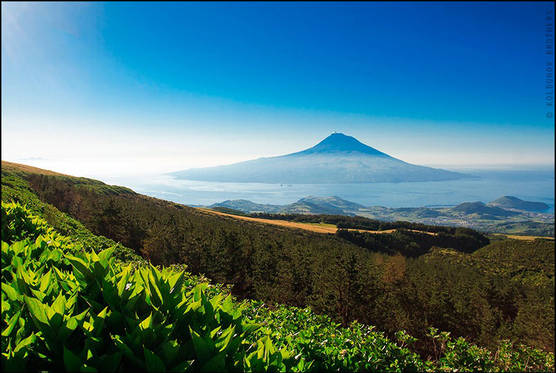 Açores, Pico