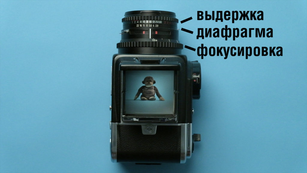Выдержка, диафрагма фокусировка на примере фотоаппарата Hasselblad